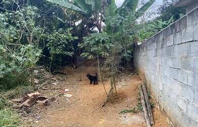 Imagem 6: Terreno Próximo a Escola Maria Helena