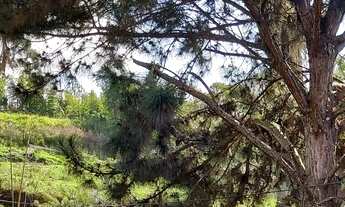 Imagem 5: Área ZUP 1, à venda com 14400 metros quadrados, próximo a rodovia índio Tibiriçá