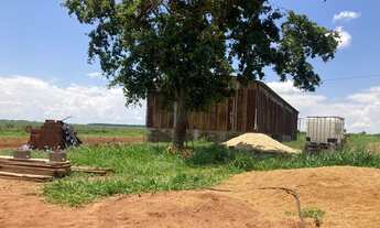 Imagem 6: Fazenda em Ribas do Rio Pardo
