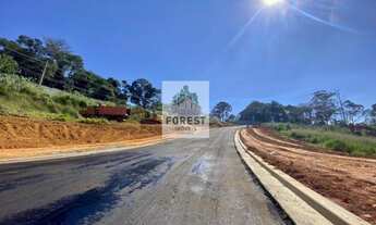 Imagem 2: Cotia - Terreno Padrão - Quinta dos Angicos