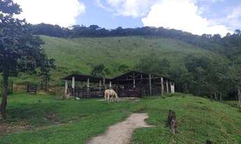 Imagem 3: Sítio 16 Alqueires (Willian Ricardo