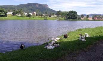 Imagem 6: Apartamento para venda com 58 m² com 2 quartos sendo 1 Suíte na Pedra Branca - Palhoça - S