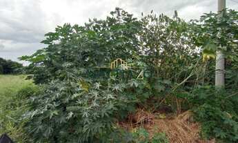 Imagem 4: IRACEMáPOLIS - Terreno Padrão - Distrito Industrial 02