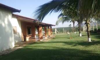 Imagem 4: Fazenda para venda com 75 alqueires em Zona Rural - Ipeúna - SP