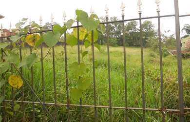 Imagem 2: Granja Viana, Recanto Verde, Carapicuíba