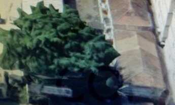 Imagem: SANTOS - Terreno Padrão - Aparecida