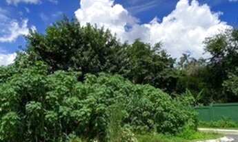 Imagem 3: Condomínio Estoril 250m2- Próximo Av das Torres