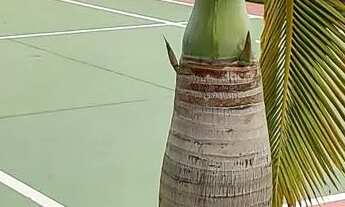 Imagem 5: Aluga se Casa em condomínio com 3 dormitórios