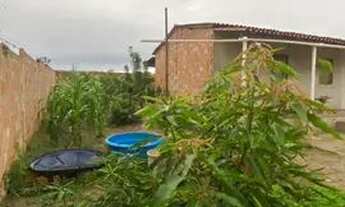 Imagem 6: Sítio Chácara com venda por R$60.000