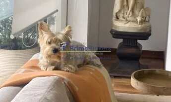 Imagem 6: Apartamento para locação na Vila Nova Conceição