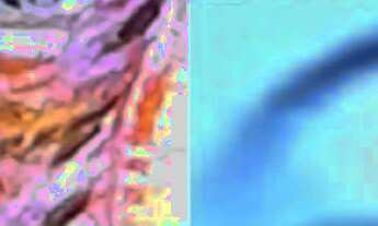 Imagem: Aluguel de Vaga (s) de Quartos C/Home Office