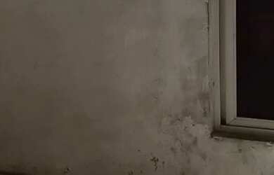 Imagem 3: Casa Casa com 2 dormitórios