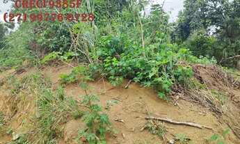 Imagem 3: SCL (T09) Olha isso aqui terrenos para chácara em Cariacica Sede