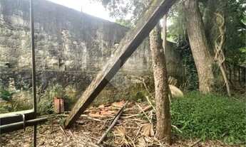 Imagem 3: Vendo Terreno de 290m2 rua do Horto para sua casa ou investimento