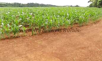 Imagem 4: Fazenda com 100 alqueires em Itatinga - SP (Nogueira Imóveis Rurais