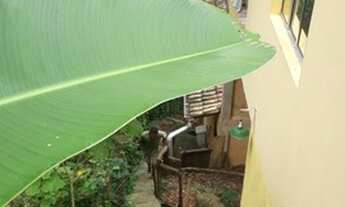 Imagem: Vendo casas. Negócio investidor ilhabela