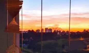 Imagem 6: APARTAMENTO - JARDIM SÃO VICENTE - SP