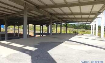 Imagem 7: GALPÃO - DO TABOÃO - SP