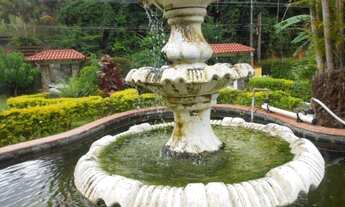 Imagem 6: Sítio em Miguel Pereira-RJ