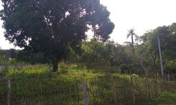 Imagem 4: Propriedade espetacular, com Rio perene, casa de caseiro, água abundante, um paraíso!!