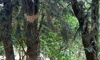 Imagem 2: Vendo sítio 2 km do centro santa Leopoldina