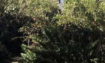 Imagem 7: A venda bem abaixo do valor pescaria brava laguna sc