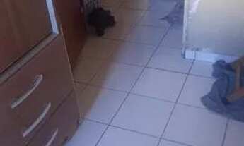 Imagem 2: Apartamento Apartamento com 2 dormitórios