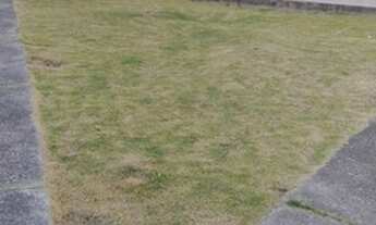 Imagem 5: Apart. 2/4, Jardim das Margaridas, 1 andar, Quitado, Cond. Parque das Orquídeas