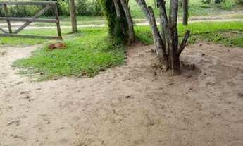 Imagem 7: NO CENTRINHO DE ÁGUAS CLARAS!!! Casa de alvenaria as margens da RS040