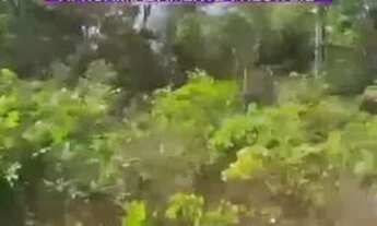 Imagem: Vendo 1 Hectare em Altos