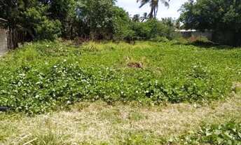 Imagem 4: Pontinha de Lucena 200 metros do mar