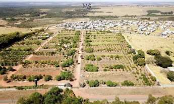Imagem: Lote(chácara) condomínio fechado - Santa