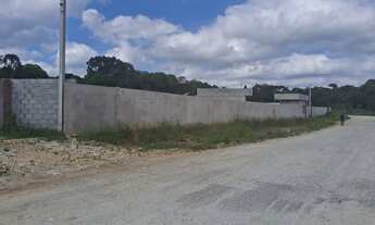 Imagem 3: Terrenos @@AtubaColombo##@Terrenos