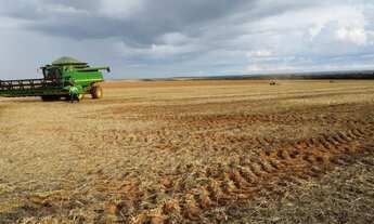 Imagem 3: Fazenda 6.402 hec em nova motum MT. 150 milhões