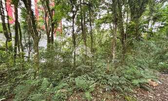 Imagem 3: Terreno próximo Escola Mestre