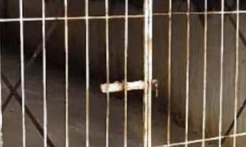 Imagem 6: Apto Grã Duquesa