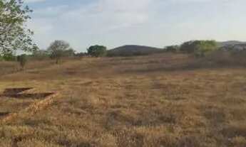 Imagem: 10 tarefas de terra