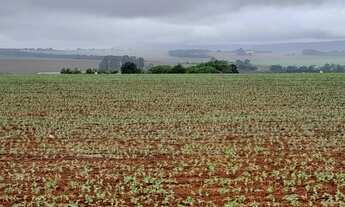 Imagem 4: Fazenda a venda São João da Aliança - Goiás!!!