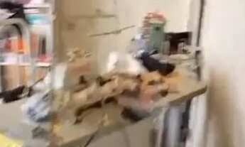 Imagem 6: Venda de sobrado