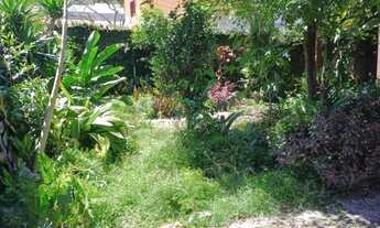 Imagem 7: Jardim Fluminense casa antiga lote plano rua pavimentada