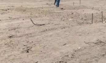 Imagem: Terreno 7 d frente por 20 d fundos