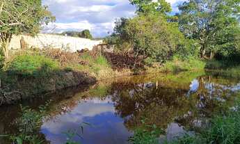 Imagem 5: Terreno com casinha simples