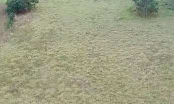 Imagem 4: Sítio com linda vista em águas claras-viamão