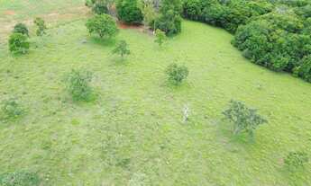 Imagem 5: Chácara de 20 mil metros a 55 km de Goiânia