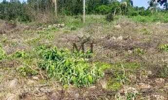 Imagem 3: Área de terra bairro Canelinha, Picada Café.RS REF: 459