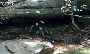 Imagem 5: Agio Chácara 01 Alqueire- OPORTUNIDADE