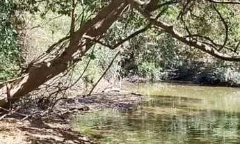 Imagem 7: Fazenda à venda, 00, Monte Alegre de Goiás, GO