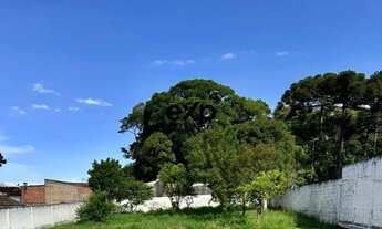 Imagem 6: Terreno Gigante em Piraquara