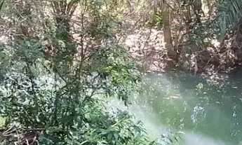 Imagem 6: Fazenda à venda, 00, Monte Alegre de Goiás, GO