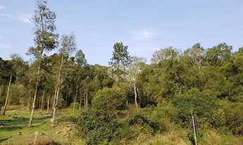 Imagem 2: Vendo chácara com 2 casa e muitas árvores frutíferas na Parada Crístal em Caxias do Sul